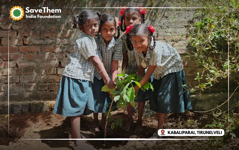 Education Kit — photo 1