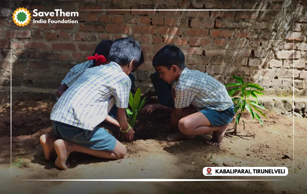 Plant a Tree — photo 6
